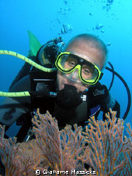 You will not find a pygmy in there Alec!!  Shot of Tioman... by Grahame Massicks 